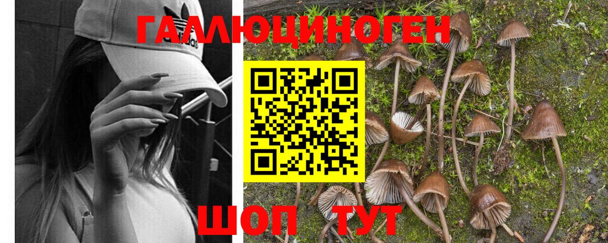 Псилоцибиновые грибы мухоморы  Вход с VPN  Псилоцибиновые грибы мицелий  Самара 